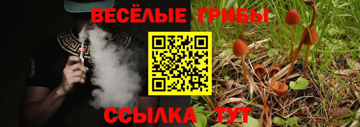 Псилоцибиновые грибы мицелий  Вход с VPN  Рыбинск  Галлюциногенные грибы мухоморы 