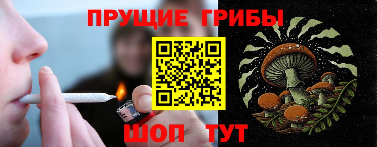 Галлюциногенные грибы Psilocybine cubensis Рыбинск